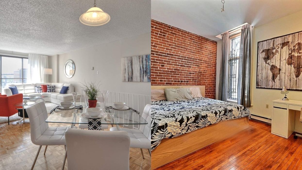 6 Montreal Apartments For Rent That Allow Pets Because You Simply Can't Live Without Them