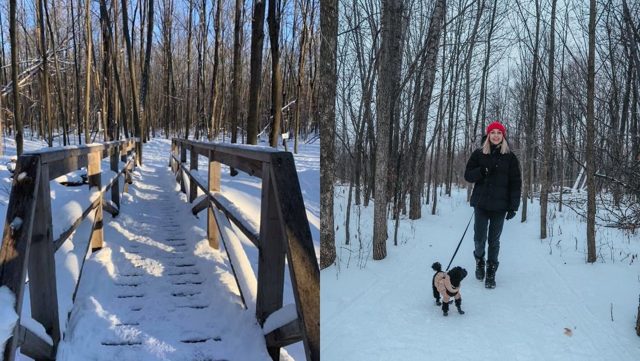 This 13-Km Nature Walk In Laval Will Plunge You Into A 'Winter Wonderland'