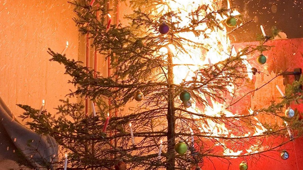 The City Explained How To NOT Light Your Christmas Tree On Fire