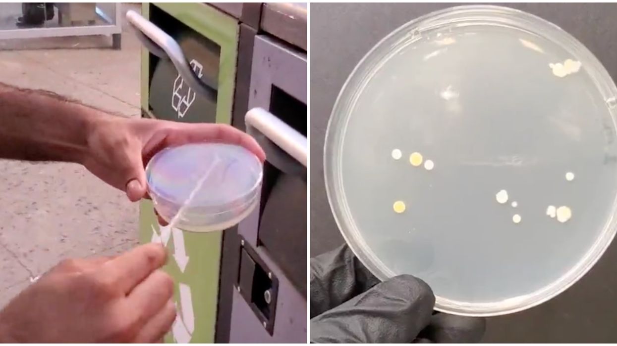 A Scientist Tested Montreal Spots For Bacteria & Revealed How Dirty They Are On TikTok