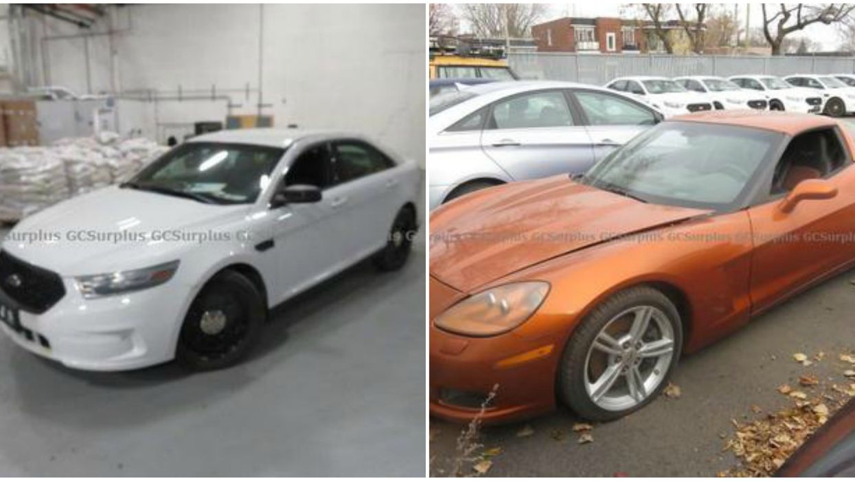 The Government Is Auctioning Off Items For Cheap In Quebec Just In Time For The Holidays