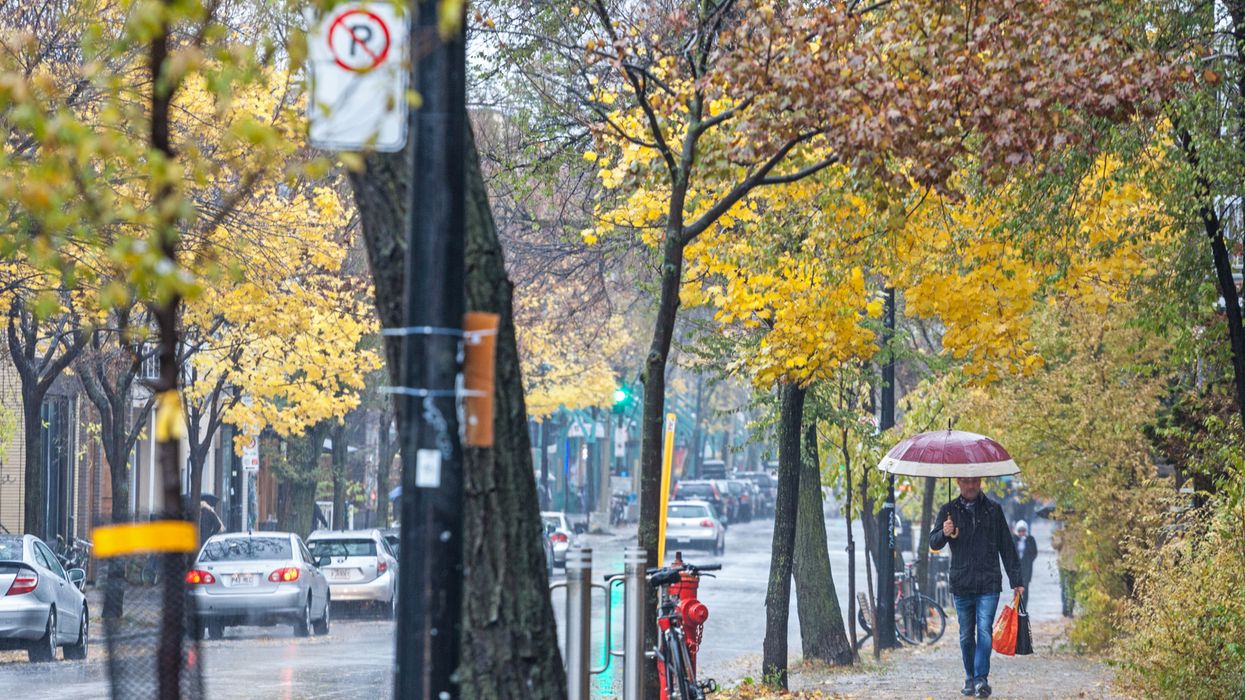 8 Best Things To Do In Montreal On A Rainy Day