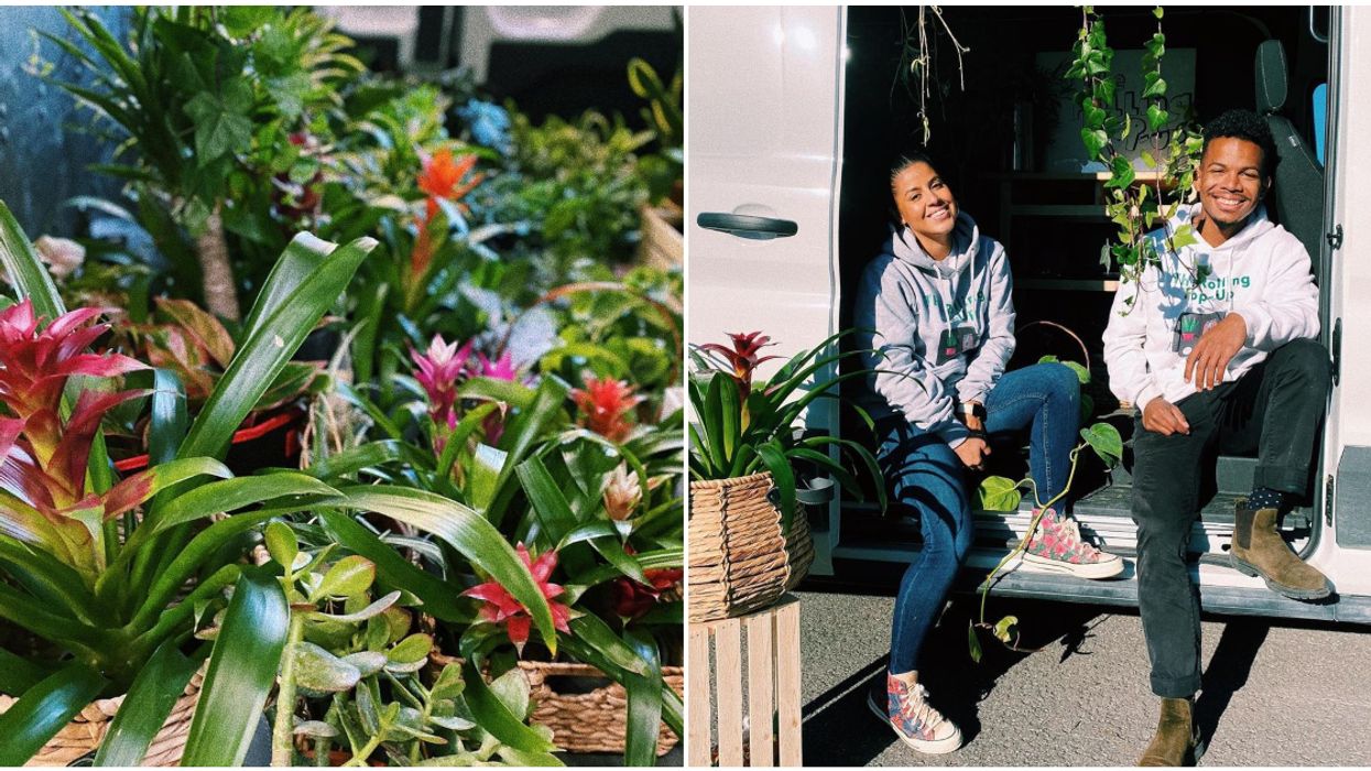 Montreal's New ‘Rolling’ Plant Shop Comes Right To You & Brings A Flora-Party On Wheels