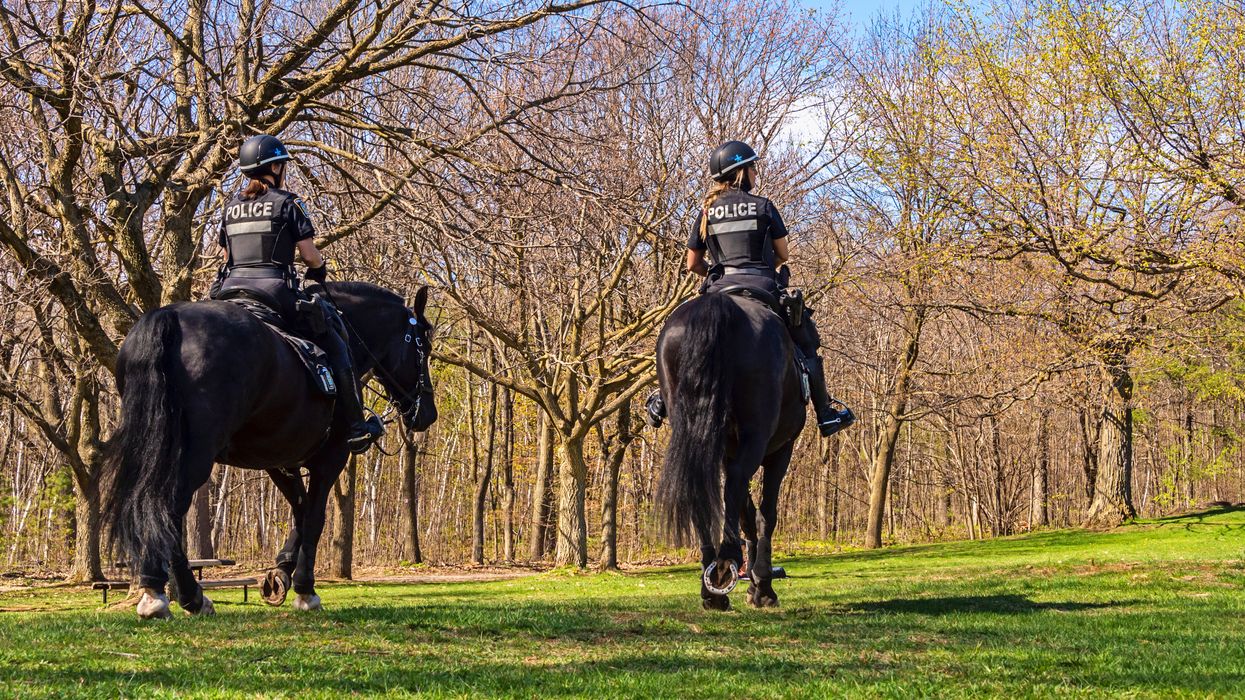 Mount Royal Was PACKED On Monday & The City Is Now Imposing Measures To Limit Access