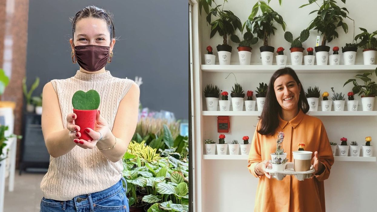 Montreal's Leaves House Is Going To Give Away FREE Plants & Lattes Just In Time For Spring