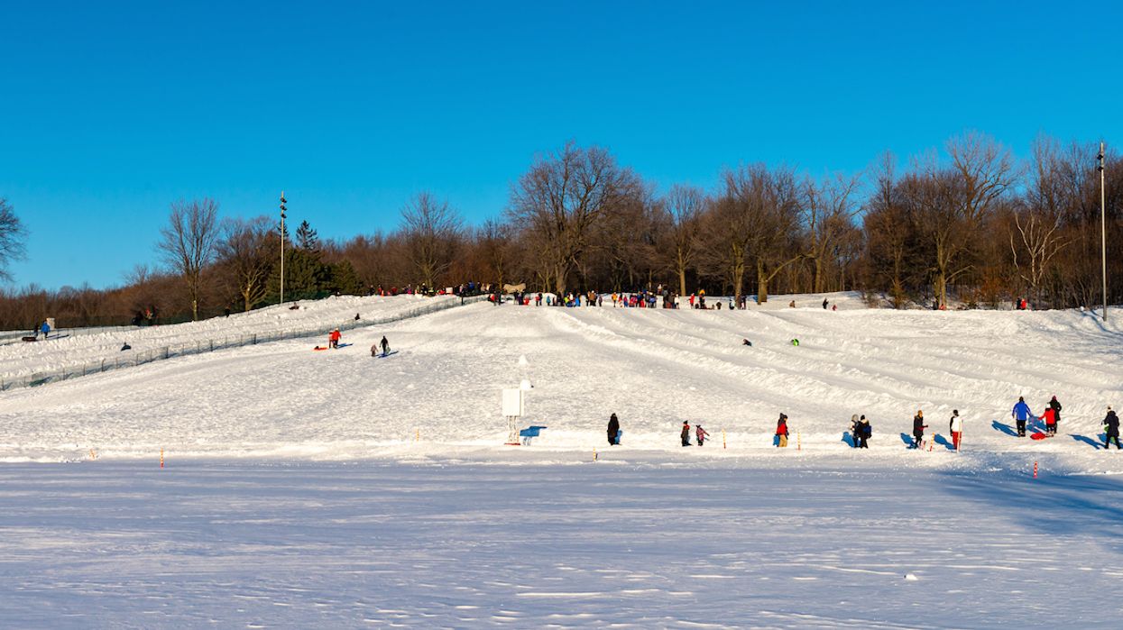 Starting Today, You Can Go Sledding For FREE At These Montreal Parks