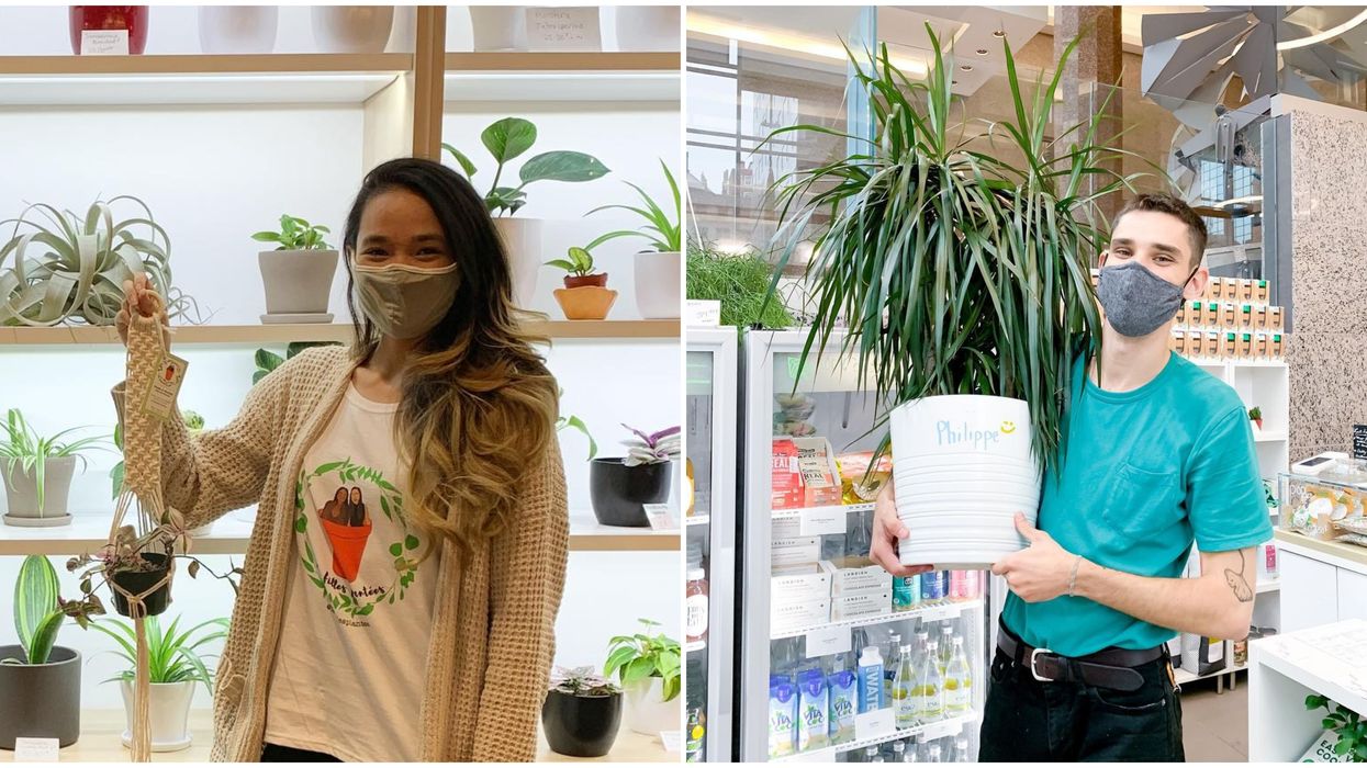 Montreal's New Holiday Market Has 60 Kinds Of Plants & We Need 'Em All To Get Through 2020