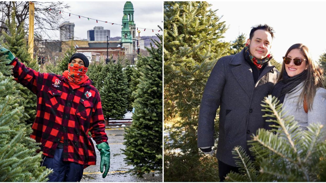 6 Spots Where Montrealers Can Buy A Christmas Tree To Really Get Into The Holiday Spirit
