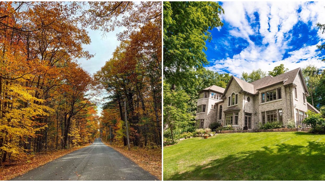 This Scenic Montreal Road Is Perfect For A Driving Date With Your Favourite Bubble Buddy