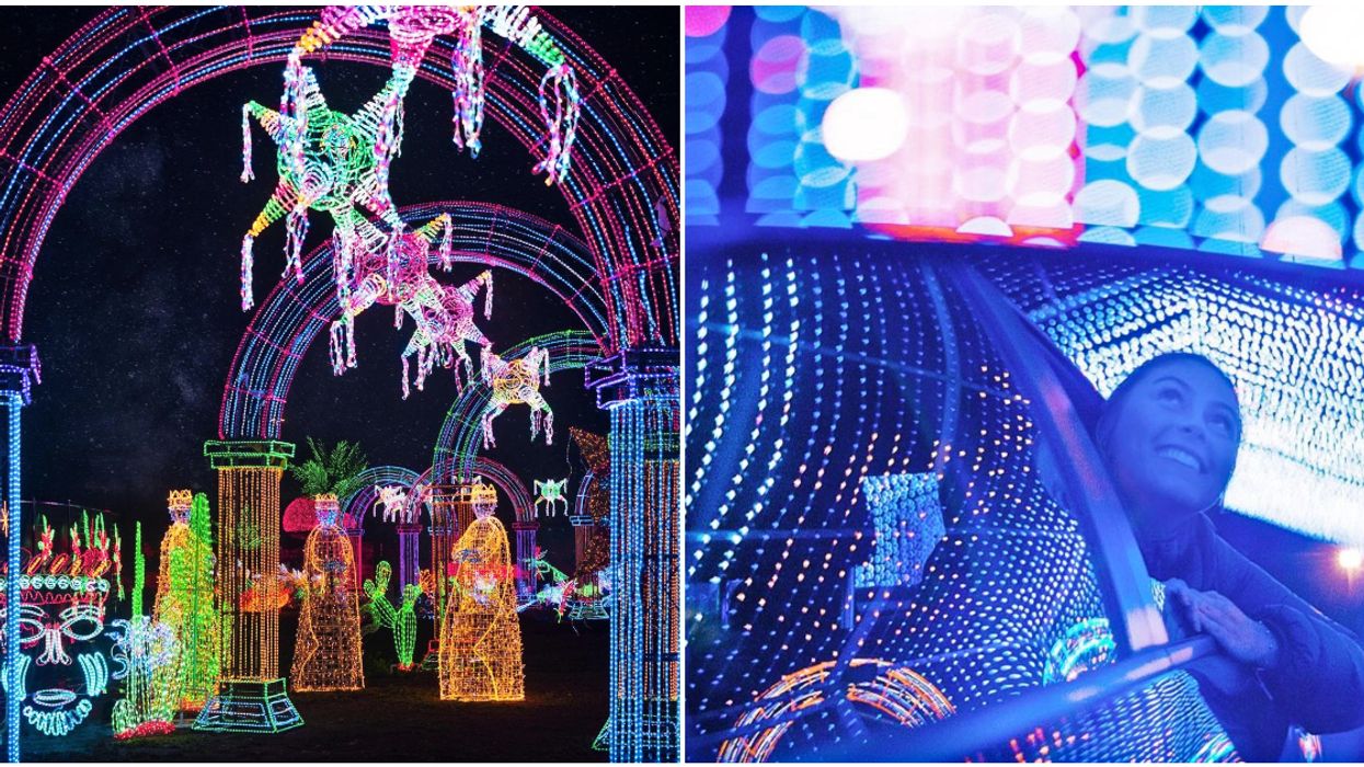 11 Things To Do In Montreal This Weekend That Legault Won't Get Mad At You For