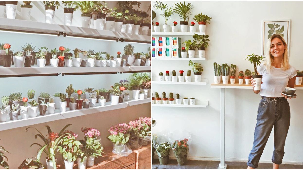 A Pop-Up Plant Sale Is Coming To Montreal With New Green Friends To Lift Your Spirits