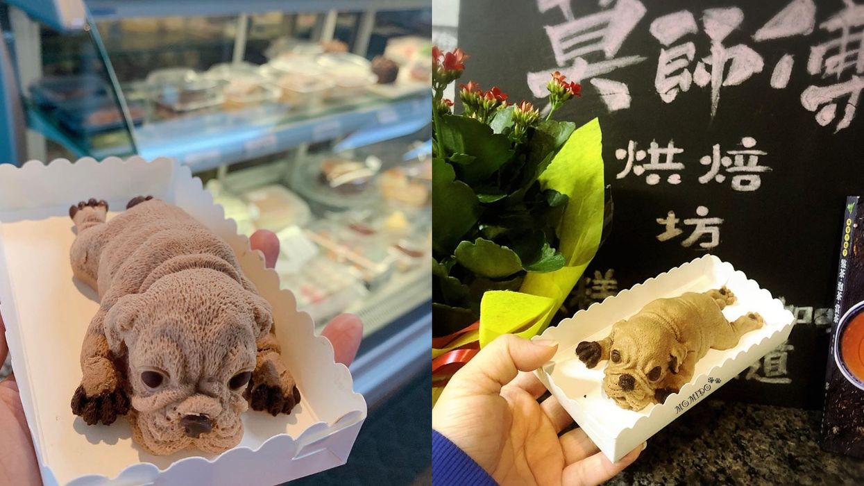 This Taiwanese Pâtisserie & Deli In Montreal Makes Cakes Shaped Like Puppies (PHOTOS)