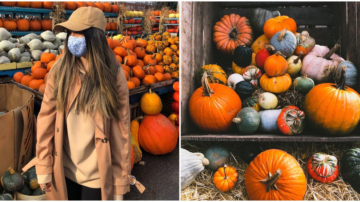 6 Montreal Spots Where You'll Find The Perfect Pumpkin To Spice Up Your Spooky Season