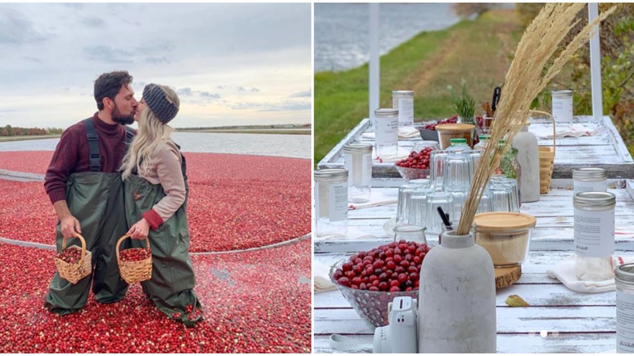 You Can Stuff Your Face With Cranberry Treats At This Dreamy Fall Festival In Quebec
