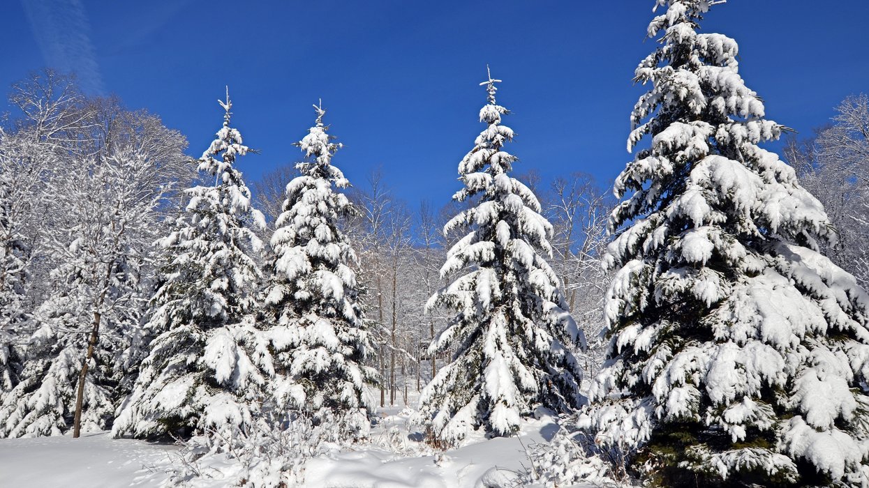Snow Has Already Made Its Way To Parts Of Quebec... And It's Only September (VIDEO)