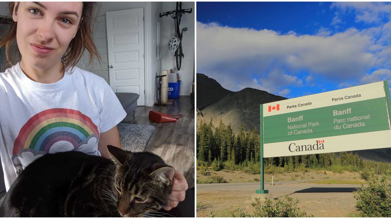 A Quebec Cat Survived 6 Weeks Alone In Banff National Park & He's Finally Home (PHOTOS)