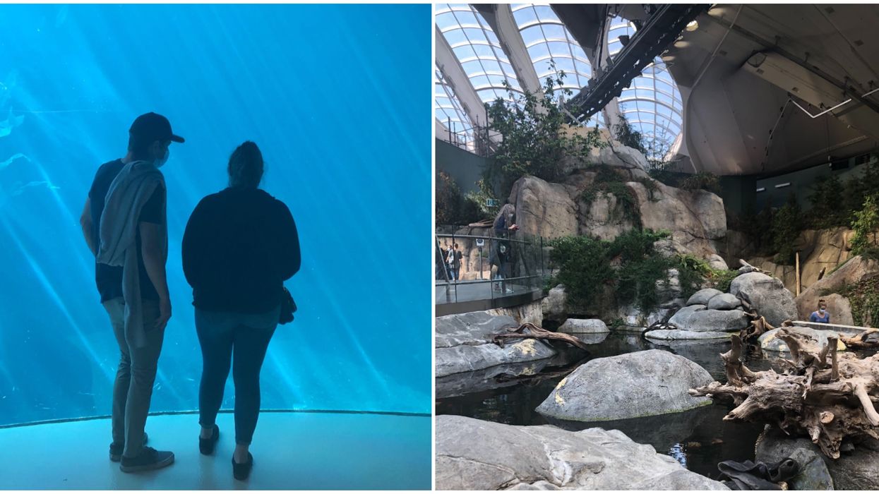 I Visited The New And Improved Montreal Biodome & Here's What It's Really Like (PHOTOS)