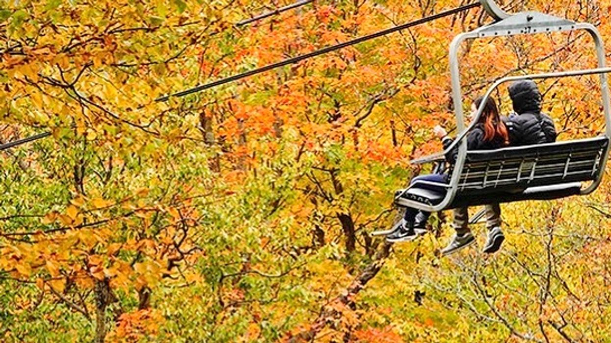 6 Fall Festivals Happening Around Quebec To Celebrate Your Favourite Season