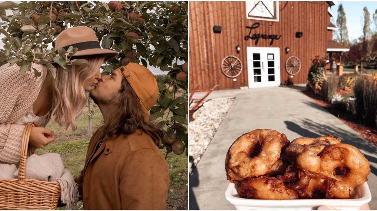 This Enchanting Orchard Just 2 Hours From Montreal Is The Perfect Place To Embrace Autumn