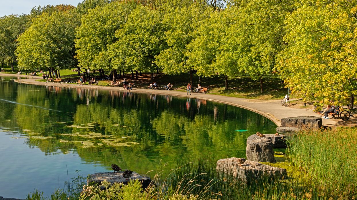 Montreal Evenings Are Forecast To Already Start Feeling Like Fall This Week