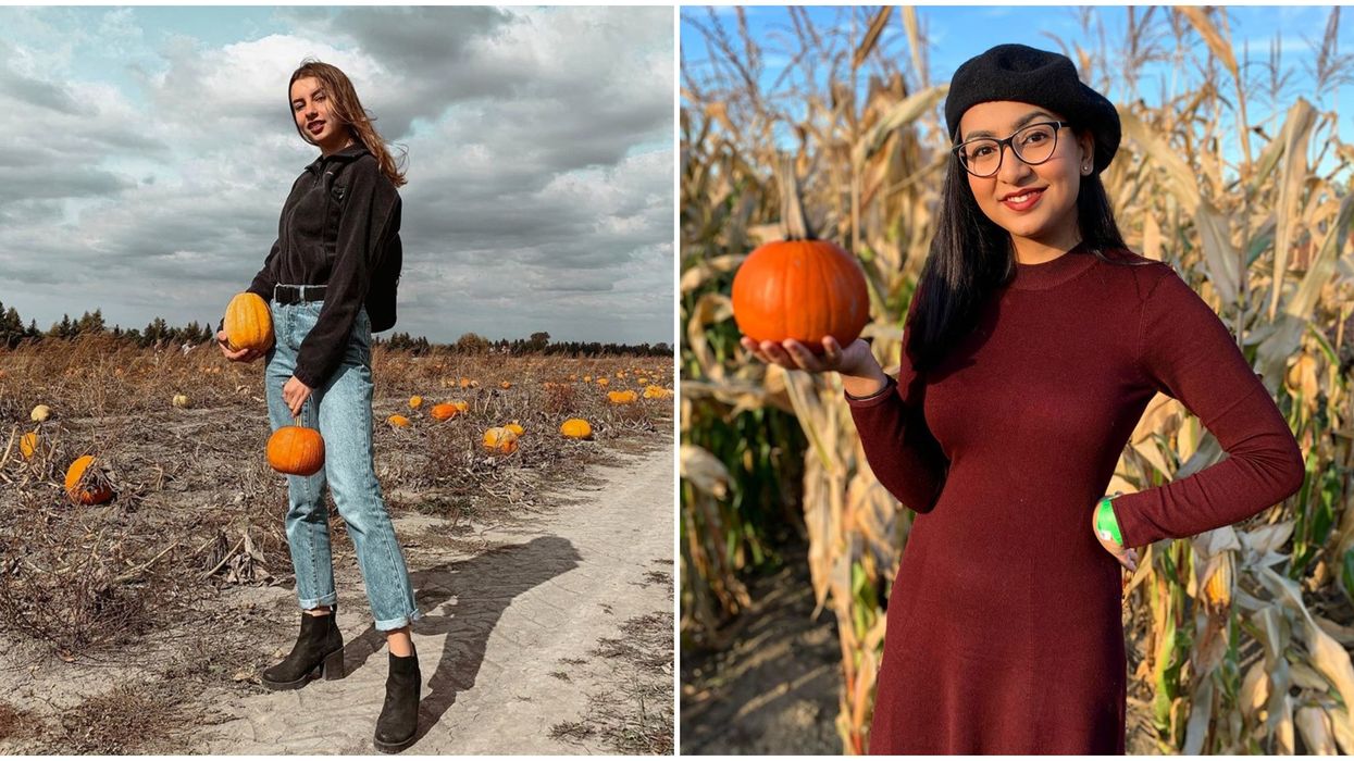 7 Pumpkin Patches Around Montreal Where You Live Out Your Fall Fantasy Unapologetically