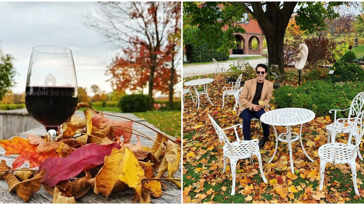 9 Wineries Less Than 2 Hours From Montreal To Visit When The Leaves Start Changing Colours