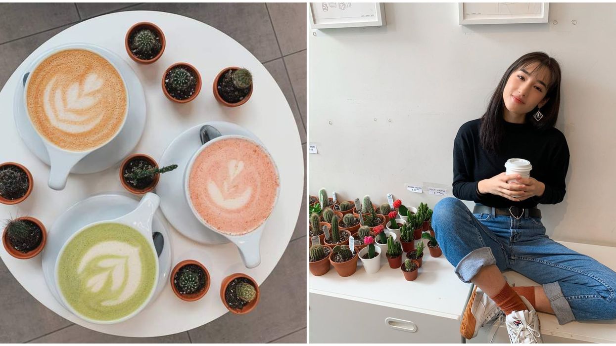 You Can Learn The Secret To Making Plant Babies While Sipping Lattes At This Montreal Café