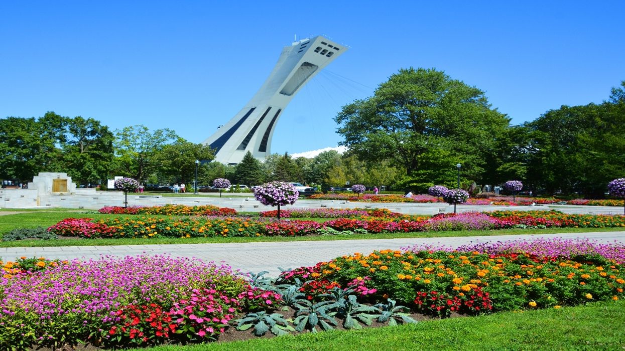 You Can Stay At The Botanical Garden Until 1 a.m. To Watch A Meteor Shower Next Week