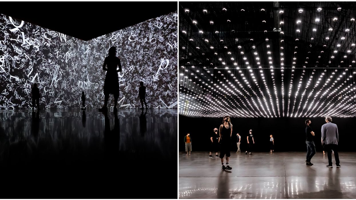 A Huge Immersive Exhibition Is Opening In Montreal & It Looks Mesmerizing