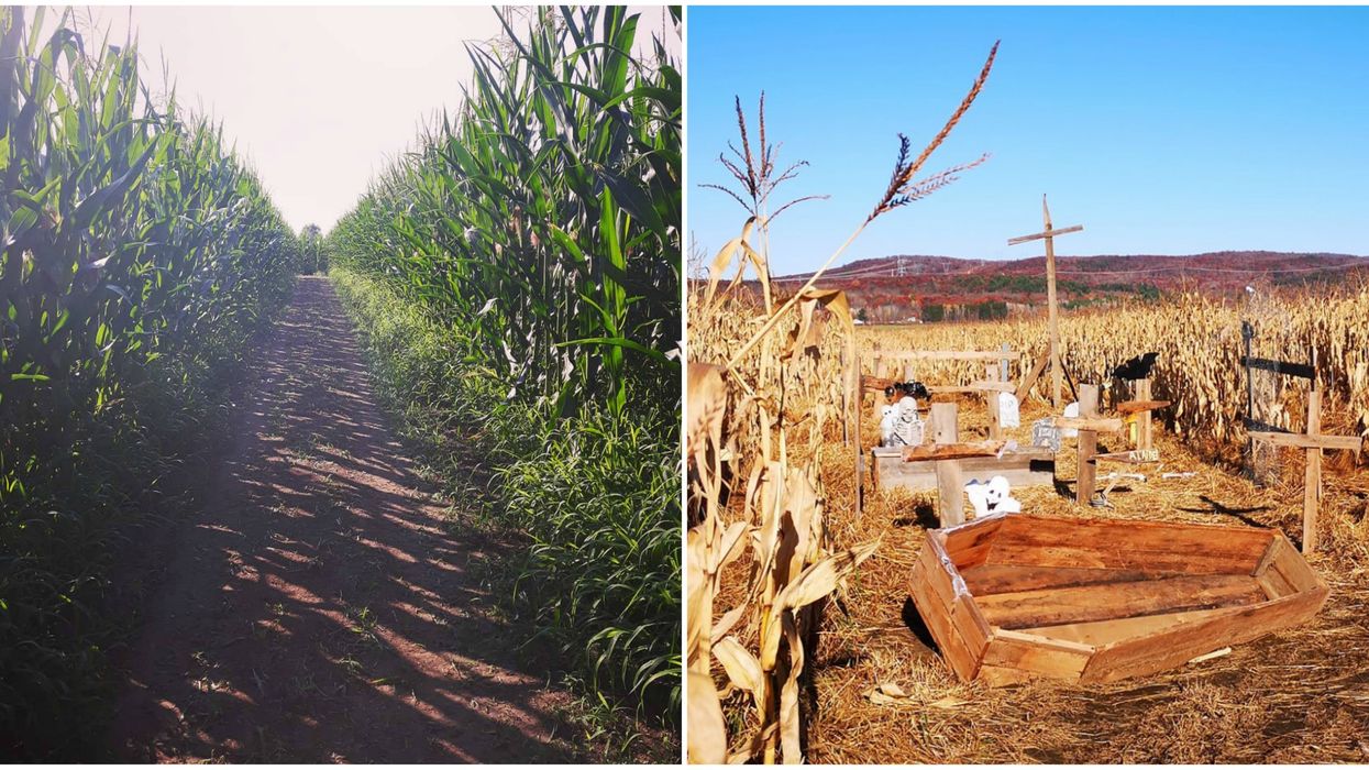 A Huge Night Maze Is Opening Outside Montreal With 8 km Of Paths To Really Turn You Around