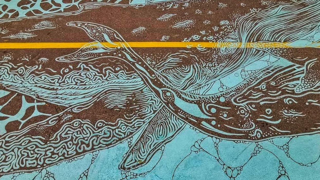 A Massive New Street Mural Is Paying Tribute To Montreal's Beloved Whale (PHOTOS)