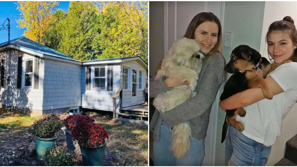 6 Dog-Friendly Airbnbs To Rent Near Montreal So You Can Escape With Your Furry Bestie