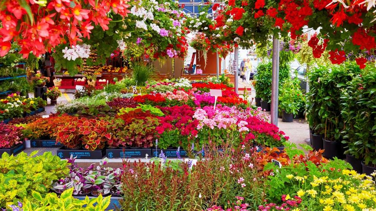 9 Things To Do In Montreal This Weekend