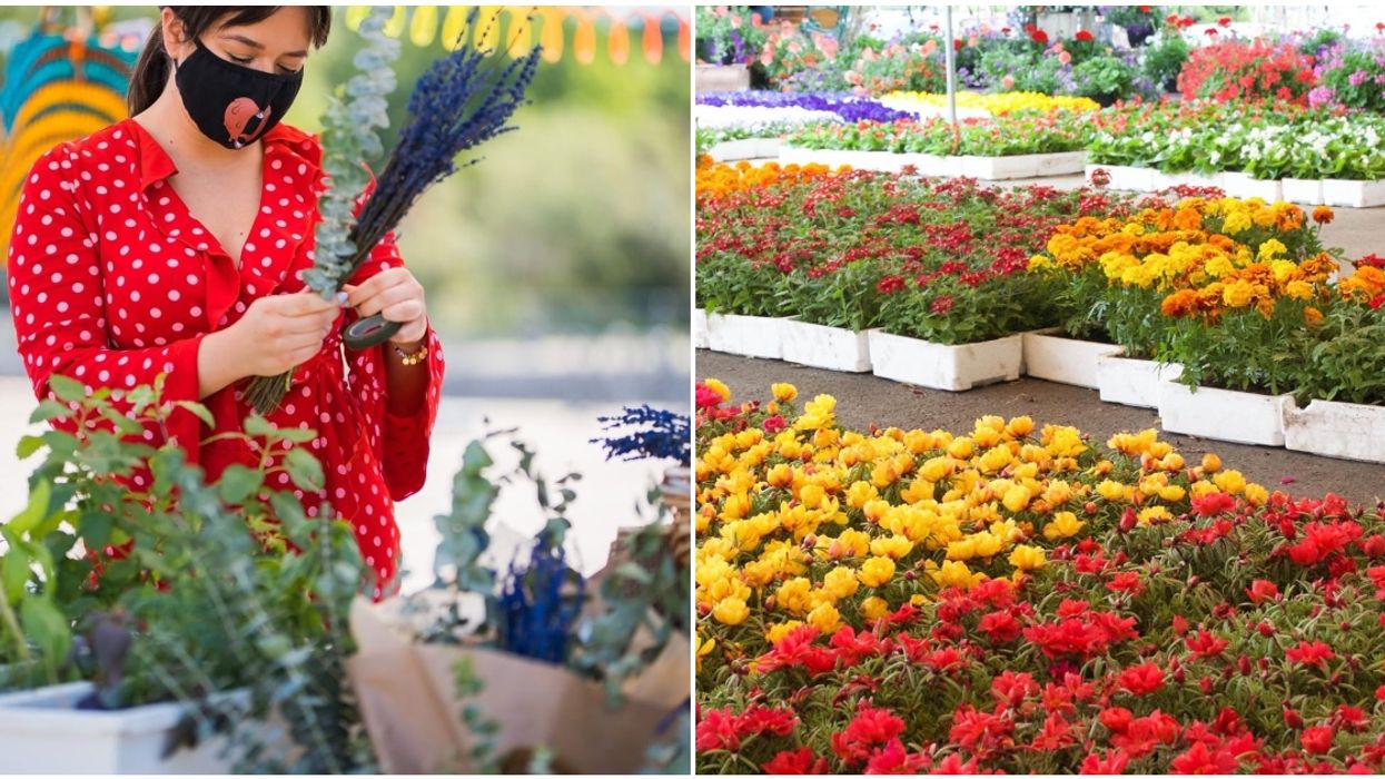 7 Lesser-Known Markets To Visit Around Montreal If You’re Over The Crowds At Atwater