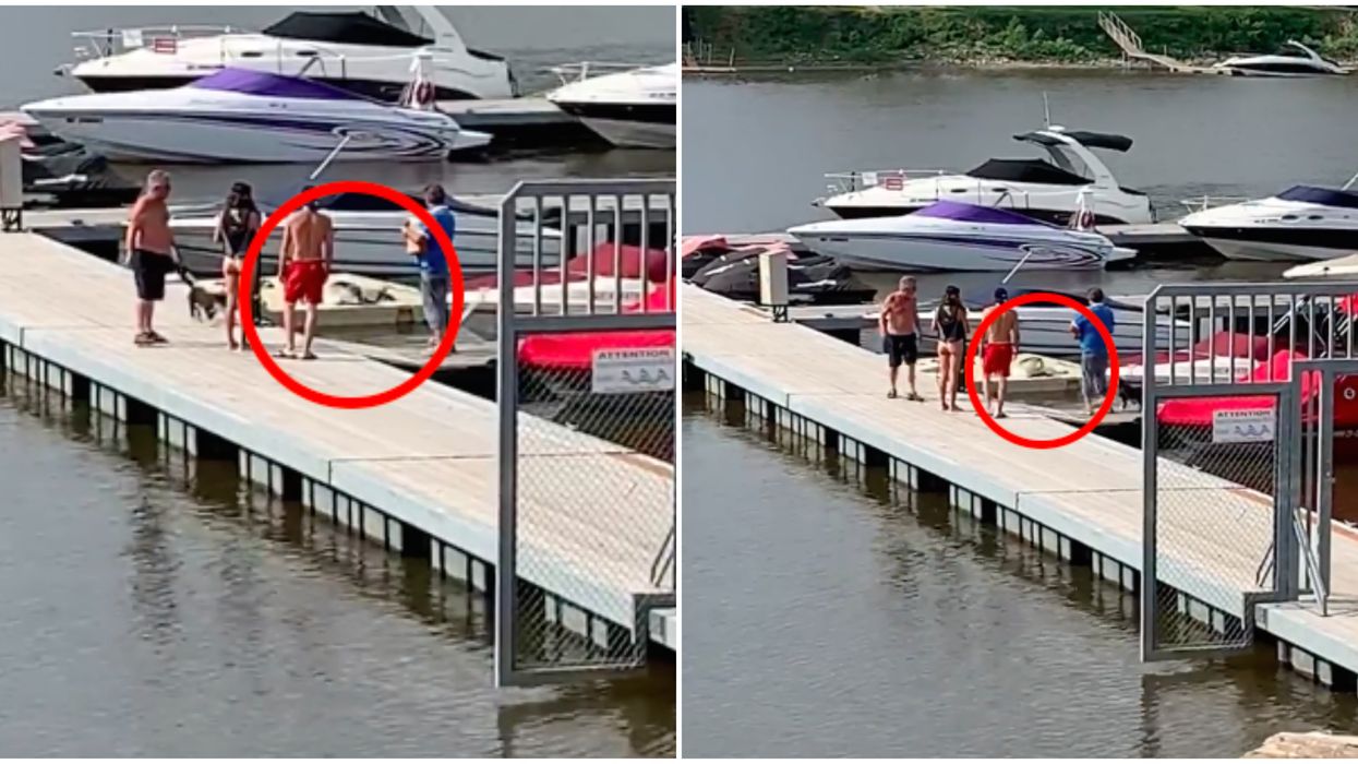 An Adorable Little Seal Has Swum All The Way To Laval & Hung Out At A Local Marina (VIDEO)