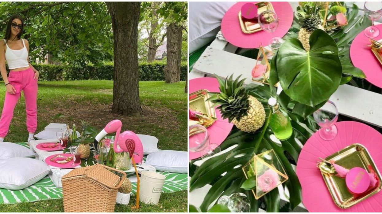 A Montreal Company Will Fully Design A Glam Picnic For You & All You Have To Do Is Show Up