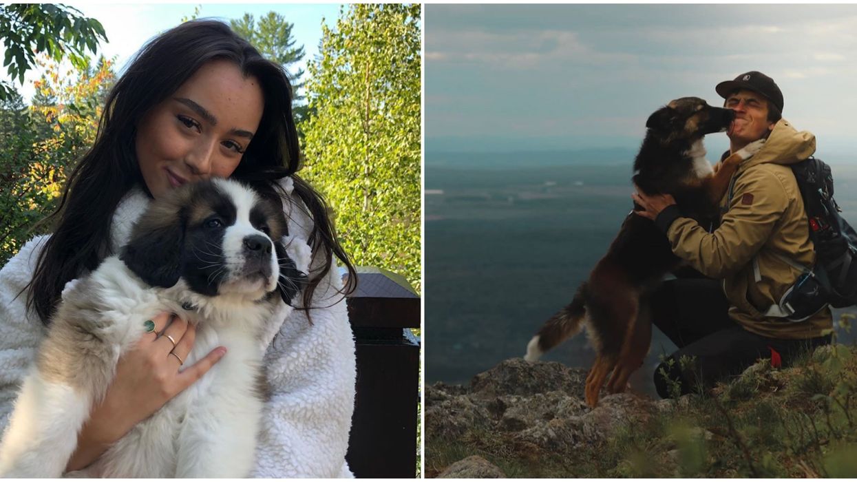 7 Quebec National Parks Where You Can Get Wild With Your Doggo