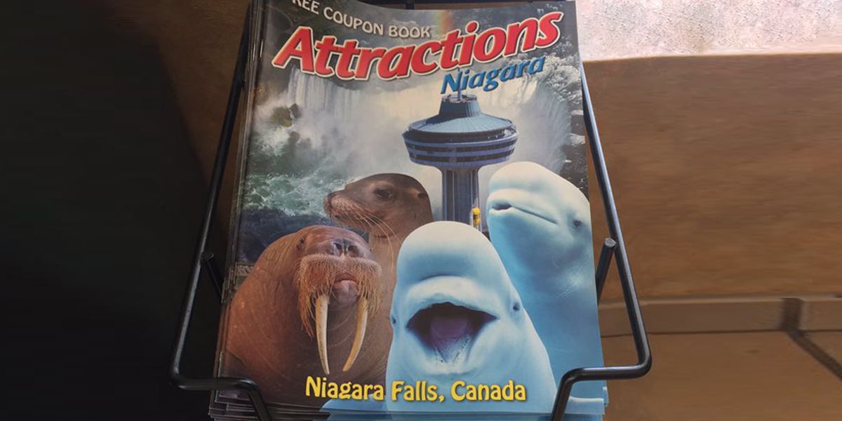 Animals That Died At Marineland Are Allegedly Being Used To ...