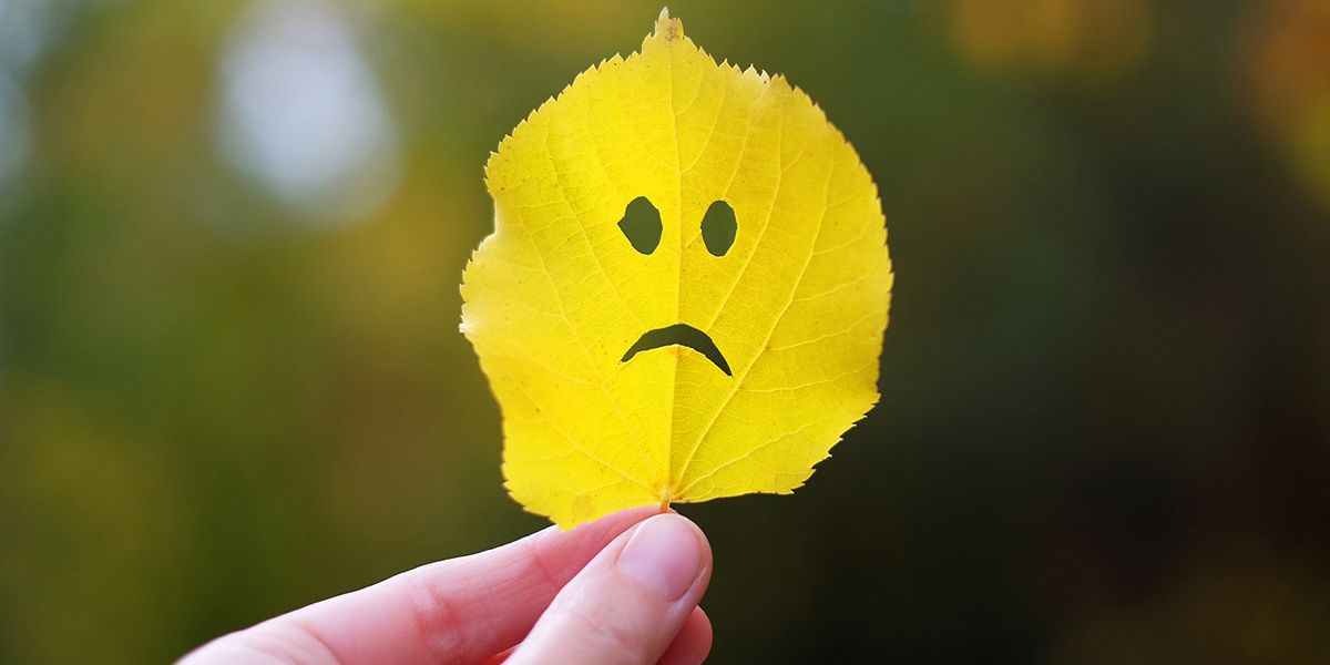 This Is Why November Is The Worst Month Ever In Canada MTL Blog This Is Why November Is The Worst Month Ever In Canada MTL Blog