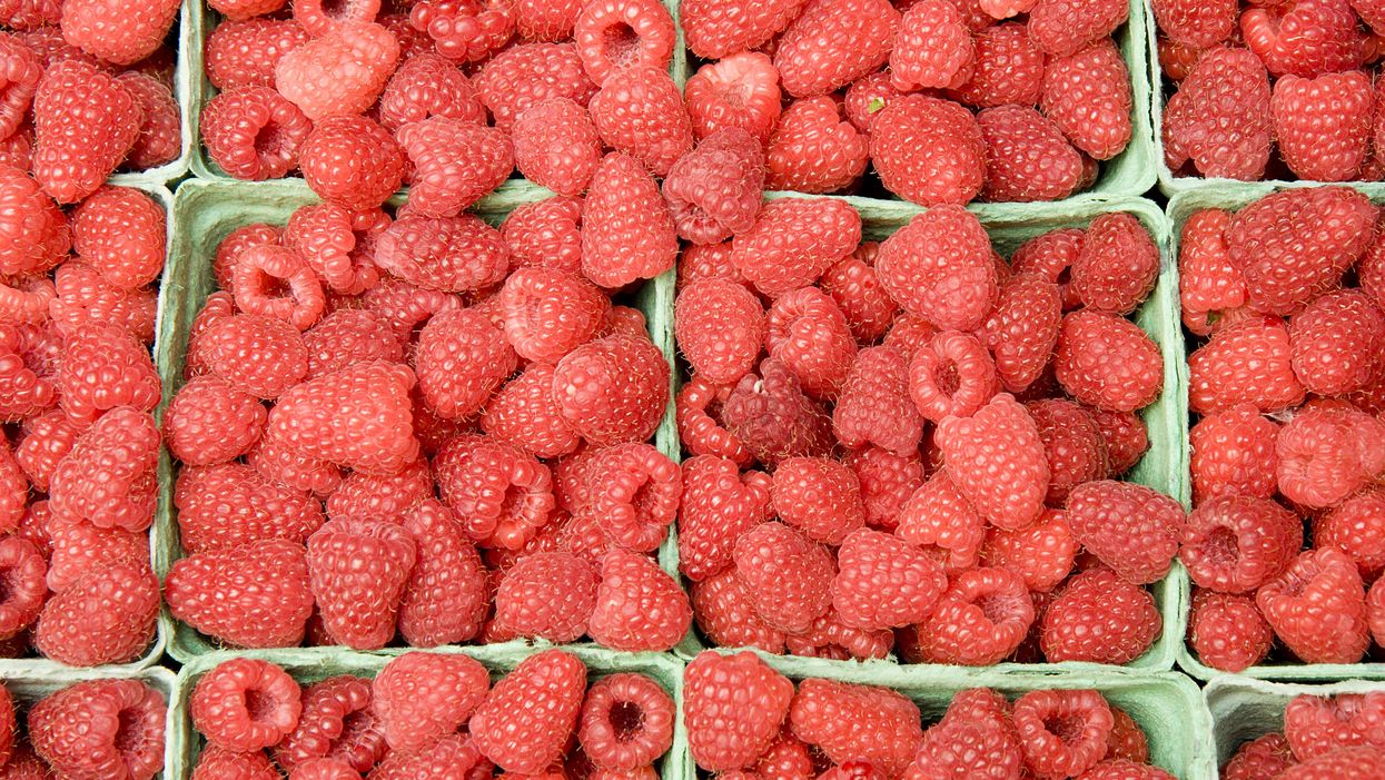 Health Canada Has Recalled This Raspberry Brand Due To Norovirus