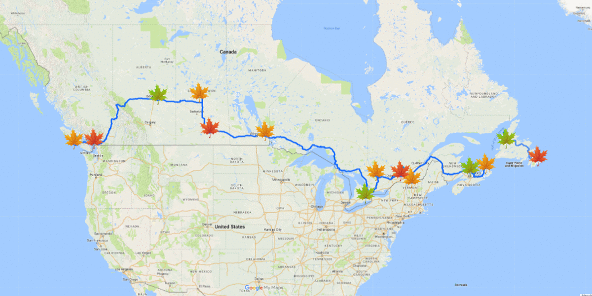 Here Is The Most Efficient Way To See The Best & Brightest Fall Foliage