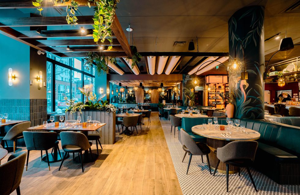 India Rosa Griffintown.