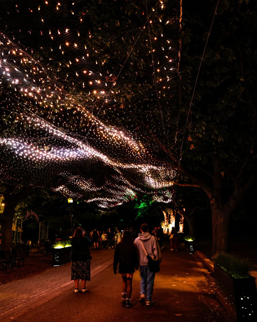 Jardins de lumi\u00e8re at Montreal's Botanical Garden.