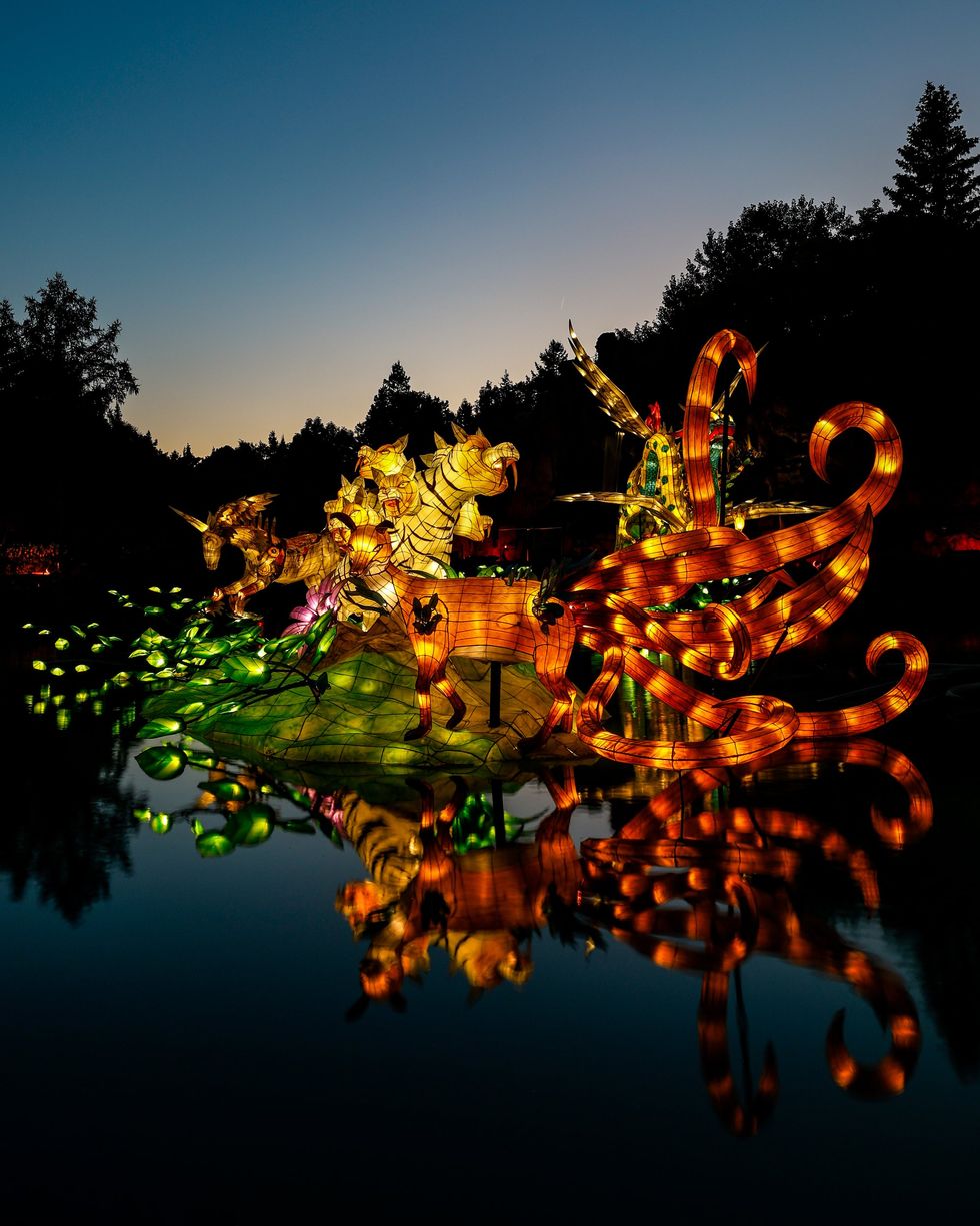 Jardins de lumi\u00e8re at Montreal's Botanical Garden.