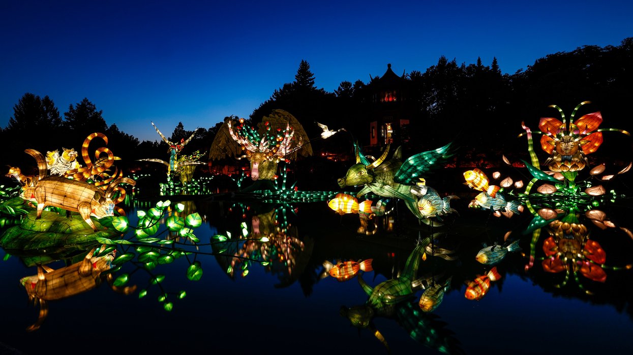Jardins de lumière at Montreal's Botanical Garden.