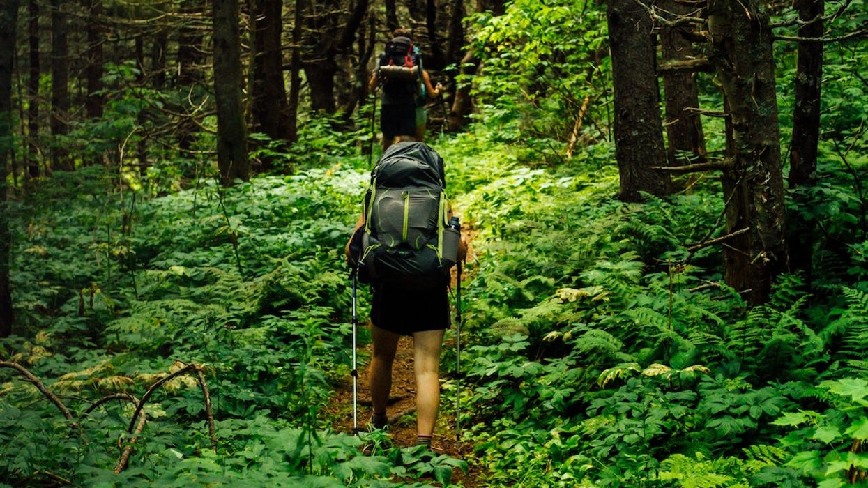 Lyme Disease Is On The Rise In Certain Regions Of Quebec & Here's How To Protect Yourself