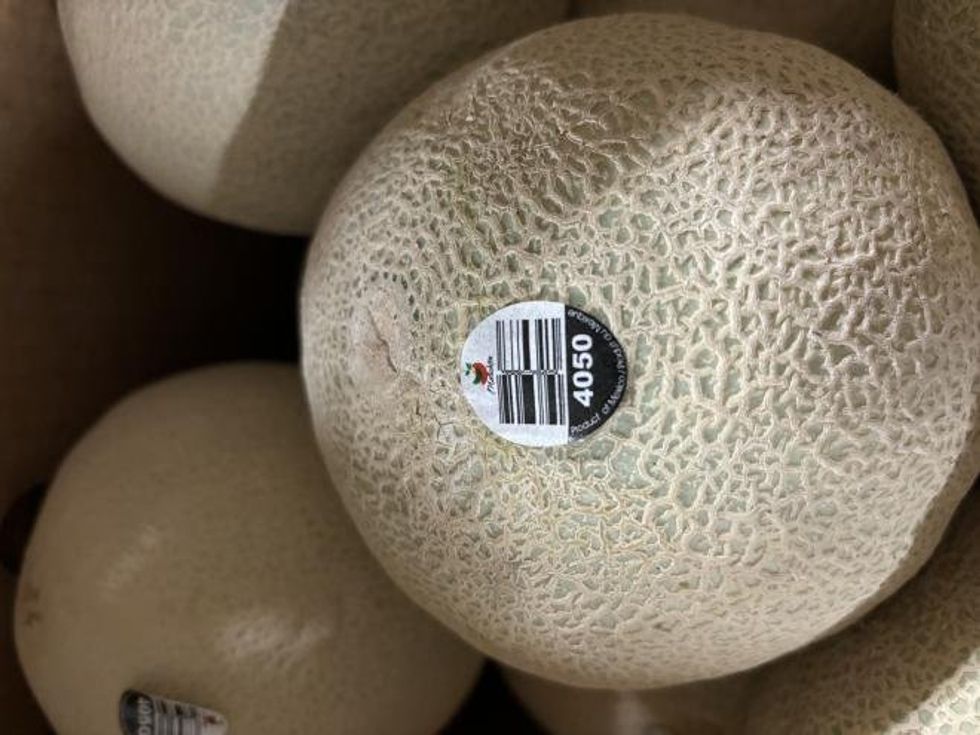 Malichita brand Cantaloupes