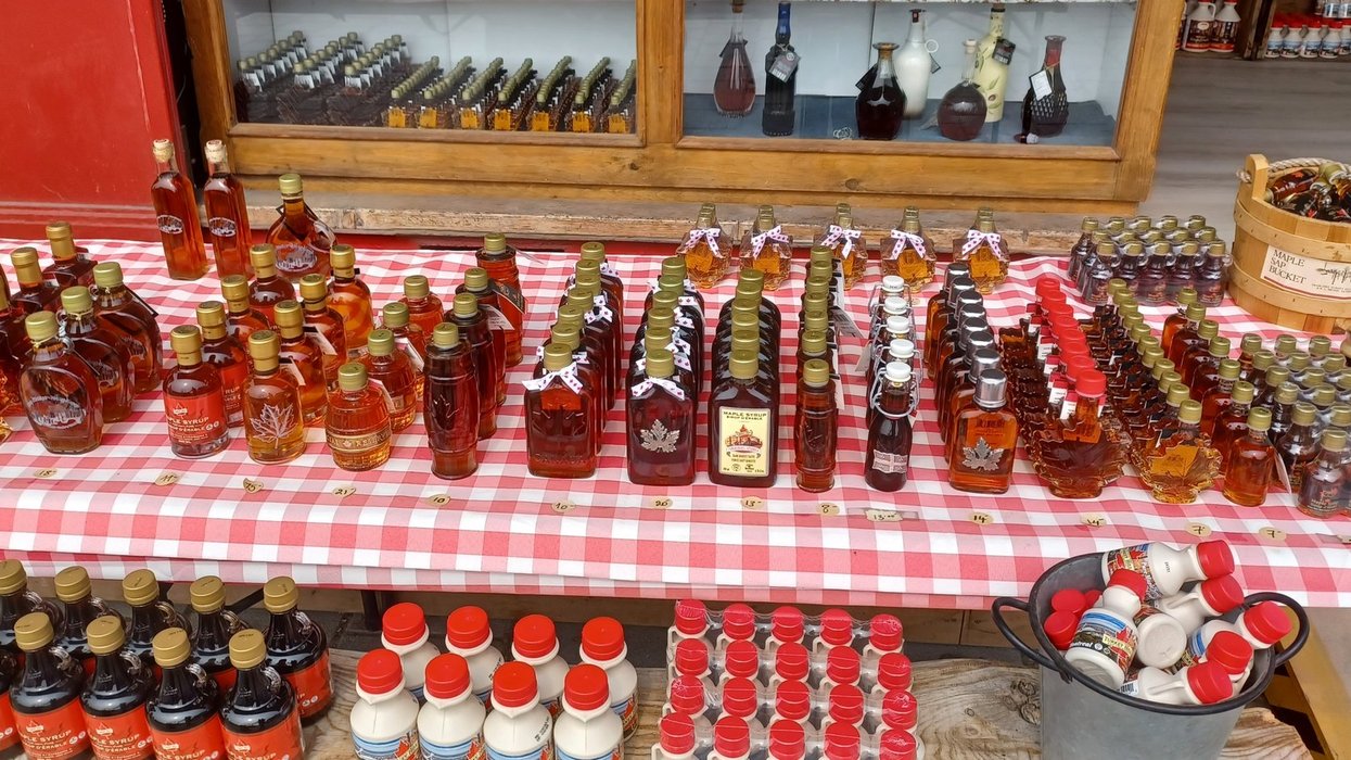 Maple syrup in Quebec.