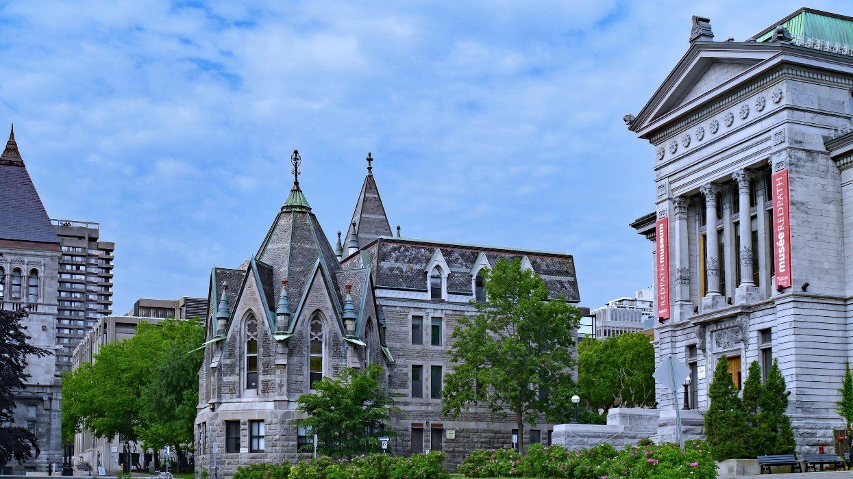 McGill University downtown campus includes old gothic stone buildings and a museum of natural history.
