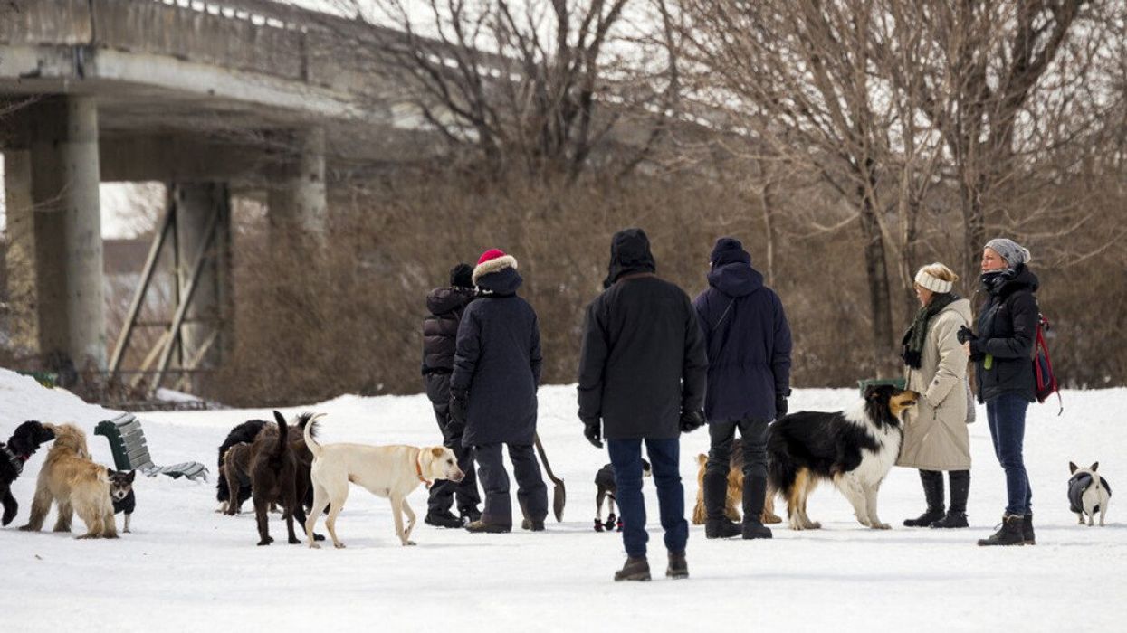 Montreal pet owners and their dogs standing in snow at an Outremont dog park.